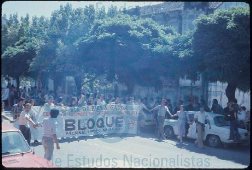 Manifestación do BN-PG do Día da Patria Galega de 1978 # 07
